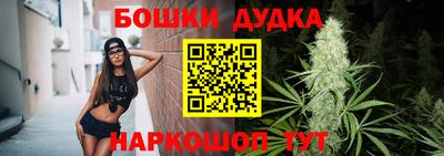 крисы Ставрополь