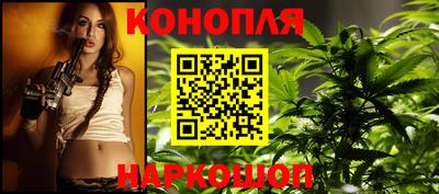 крисы Ставрополь