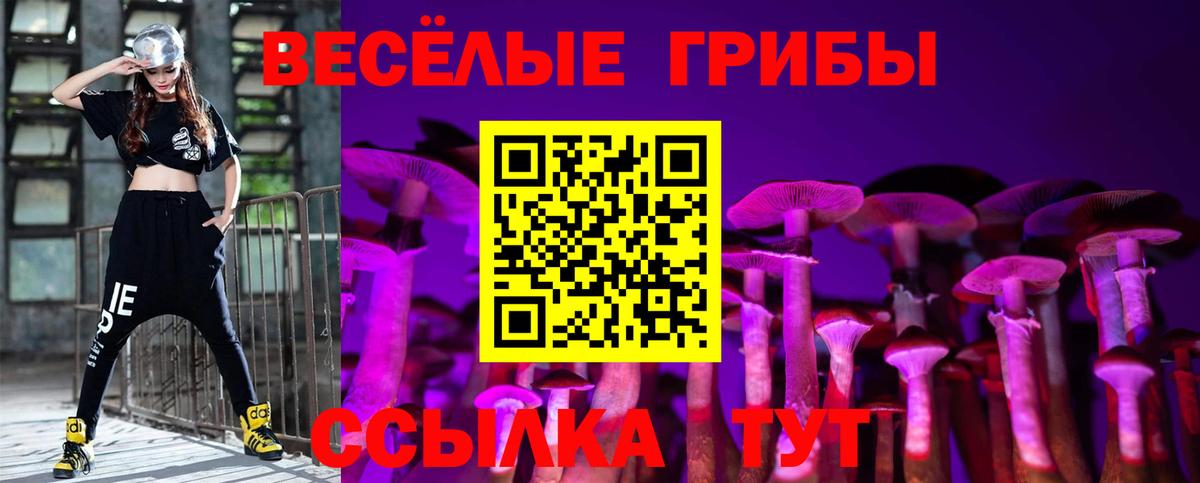 Псков  Галлюциногенные грибы мухоморы  Вход с VPN 